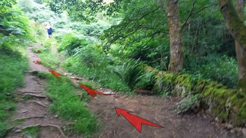 A photo of step 12 of the Derwent Reservoir Walk route, with red arrows superimposed to show the way.
