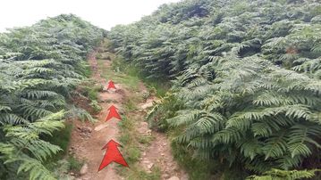 A photo of step 13 of the Derwent Reservoir Walk route, with red arrows superimposed to show the way.