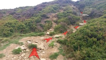 A photo of step 16 of the Derwent Reservoir Walk route, with red arrows superimposed to show the way.