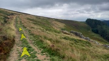 A photo of step 18 of the Derwent Reservoir Walk route, with yellow arrows superimposed to show the way.