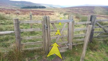 A photo of step 19 of the Derwent Reservoir Walk route, with yellow arrows superimposed to show the way.