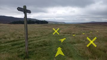 A photo of step 20 of the Derwent Reservoir Walk route, with yellow arrows superimposed to show the way.
