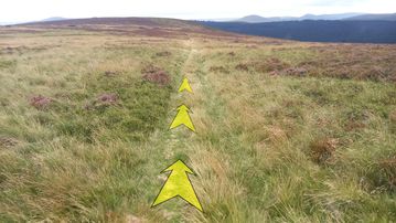 A photo of step 21 of the Derwent Reservoir Walk route, with yellow arrows superimposed to show the way.