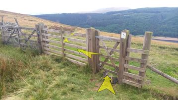 A photo of step 22 of the Derwent Reservoir Walk route, with yellow arrows superimposed to show the way.