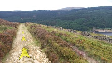 A photo of step 23 of the Derwent Reservoir Walk route, with yellow arrows superimposed to show the way.