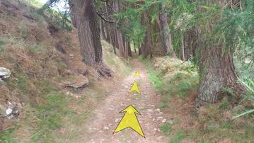 A photo of step 24 of the Derwent Reservoir Walk route, with yellow arrows superimposed to show the way.