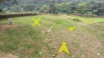 A photo of step 25 of the Derwent Reservoir Walk route, with yellow arrows superimposed to show the way.