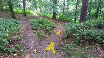 A photo of step 31 of the Derwent Reservoir Walk route, with yellow arrows superimposed to show the way.