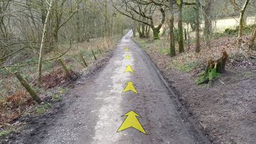 A photo of step 11 of the Fernilee Reservoir Walk route, with yellow arrows superimposed to show the way.