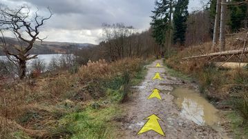 A photo of step 13 of the Fernilee Reservoir Walk route, with yellow arrows superimposed to show the way.