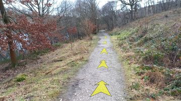 A photo of step 16 of the Fernilee Reservoir Walk route, with yellow arrows superimposed to show the way.