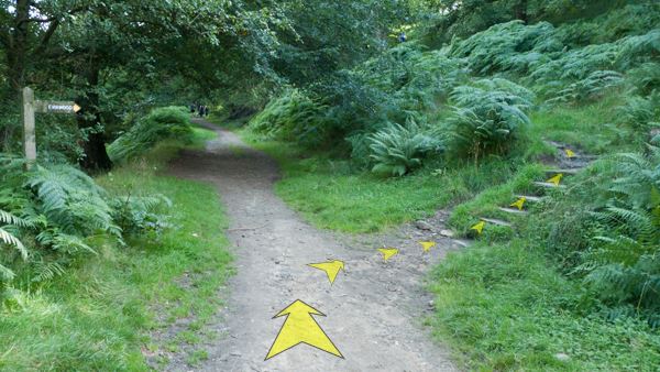 A photo of step 8 of the Fernilee Reservoir route, with yellow arrows superimposed to show the way.