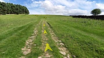 A photo of step 11 of the Kinder Reservoir Walk route, with yellow arrows superimposed to show the way.