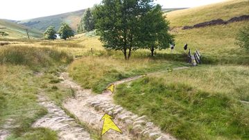 A photo of step 19 of the Kinder Reservoir Walk route, with yellow arrows superimposed to show the way.