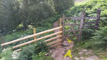 A photo of step 23 of the Kinder Reservoir Walk route, with yellow arrows superimposed to show the way.