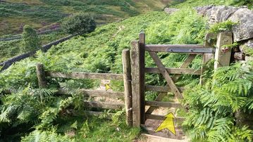 A photo of step 24 of the Kinder Reservoir Walk route, with yellow arrows superimposed to show the way.