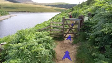 A photo of step 27 of the Kinder Reservoir Walk route, with blue arrows superimposed to show the way.