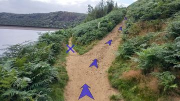 A photo of step 28 of the Kinder Reservoir Walk route, with blue arrows superimposed to show the way.