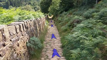 A photo of step 31 of the Kinder Reservoir Walk route, with blue arrows superimposed to show the way.