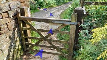 A photo of step 32 of the Kinder Reservoir Walk route, with blue arrows superimposed to show the way.