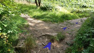 A photo of step 33 of the Kinder Reservoir Walk route, with blue arrows superimposed to show the way.