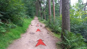 A photo of step 11 of the Lud's Church Walk route, with red arrows superimposed to show the way.