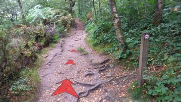A photo of step 13 of the Lud's Church Walk route, with red arrows superimposed to show the way.