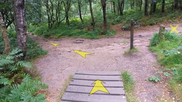 A photo of step 20 of the Lud's Church Walk route, with yellow arrows superimposed to show the way.
