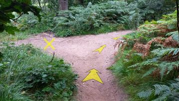 A photo of step 21 of the Lud's Church Walk route, with yellow arrows superimposed to show the way.
