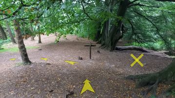 A photo of step 23 of the Lud's Church Walk route, with yellow arrows superimposed to show the way.