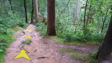 A photo of step 25 of the Lud's Church Walk route, with yellow arrows superimposed to show the way.
