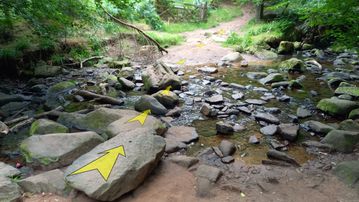 A photo of step 28 of the Lud's Church Walk route, with yellow arrows superimposed to show the way.