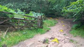 A photo of step 29 of the Lud's Church Walk route, with yellow arrows superimposed to show the way.