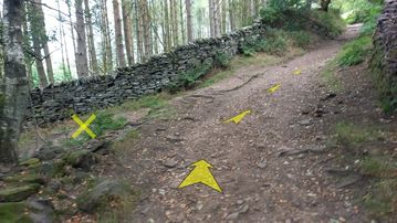 A photo of step 30 of the Lud's Church Walk route, with yellow arrows superimposed to show the way.