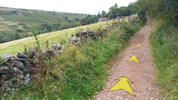 A photo of step 31 of the Lud's Church Walk route, with yellow arrows superimposed to show the way.
