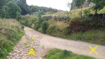 A photo of step 32 of the Lud's Church Walk route, with yellow arrows superimposed to show the way.