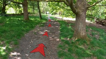 A photo of step 2 of the Shining Tor Walk route, with red arrows superimposed to show the way.