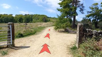 A photo of step 3 of the Shining Tor Walk route, with red arrows superimposed to show the way.