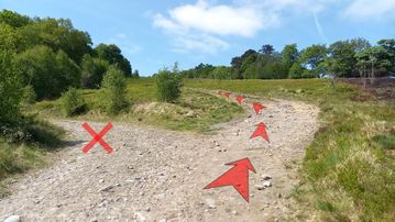 A photo of step 4 of the Shining Tor Walk route, with red arrows superimposed to show the way.