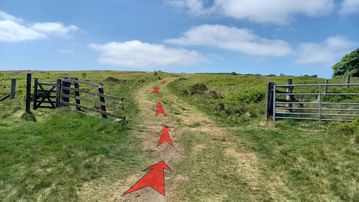 A photo of step 5 of the Shining Tor Walk route, with red arrows superimposed to show the way.