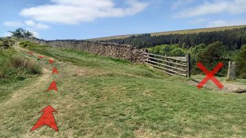 A photo of step 6 of the Shining Tor Walk route, with red arrows superimposed to show the way.