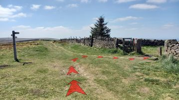 A photo of step 7 of the Shining Tor Walk route, with red arrows superimposed to show the way.
