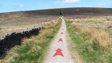 A photo of step 8 of the Shining Tor Walk route, with red arrows superimposed to show the way.