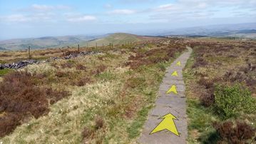 A photo of step 12 of the Shining Tor Walk route, with yellow arrows superimposed to show the way.