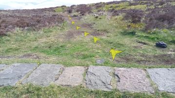A photo of step 14 of the Shining Tor Walk route, with yellow arrows superimposed to show the way.