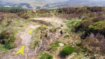 A photo of step 15 of the Shining Tor Walk route, with yellow arrows superimposed to show the way.