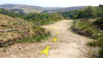 A photo of step 16 of the Shining Tor Walk route, with yellow arrows superimposed to show the way.