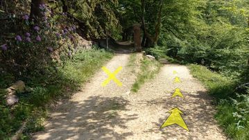 A photo of step 19 of the Shining Tor Walk route, with yellow arrows superimposed to show the way.