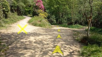 A photo of step 20 of the Shining Tor Walk route, with yellow arrows superimposed to show the way.