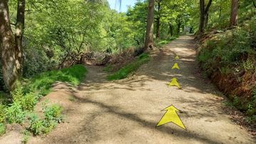 A photo of step 21 of the Shining Tor Walk route, with yellow arrows superimposed to show the way.